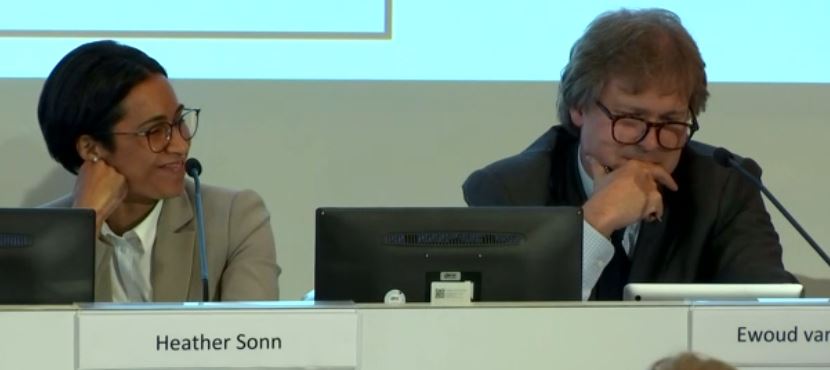 Steinhoff International Holdings N.V. 1131371