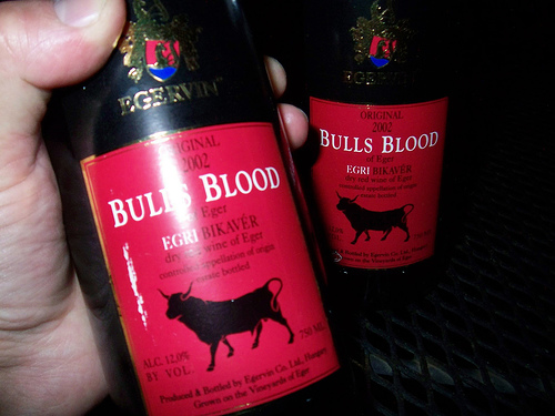 Quo Vadis Dax 2011 - All Time High? 372808