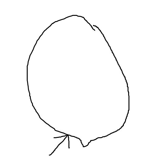 Netcents Technology Thread moderiert A2AFTK 1090748