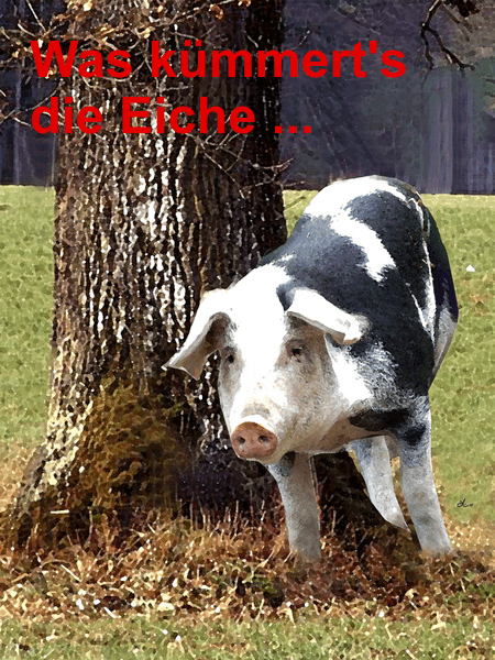 COMMERCE RESOURCES (€ 0,208) 821477