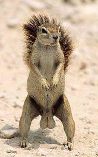 100 % Anstieg binnen 12 Monaten ab jetzt 20970