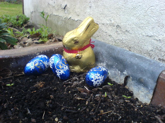 DAX-Tipps für die Urlauber Tippspiel von denkidee 89216