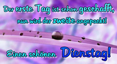 428.DAX Tipp-Spiel, Dienstag, 12.12.06 71149