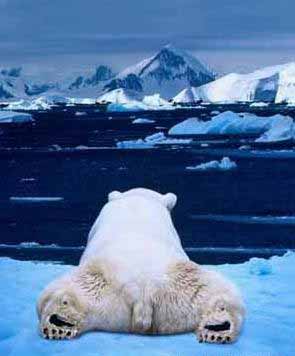 669.DAX Tipp-Spiel, Freitag, 23.11.07 132651