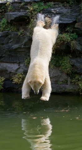 E.on SE - Chance oder Risiko 637343