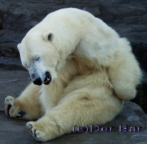 Thompson Creek Metals (Blue Pearl Mng) 83182