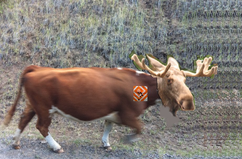 Elliott Wave DAX daily 540010