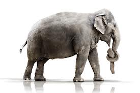 Quo Vadis Dax 2013 - Up, dank Liquidität 578724