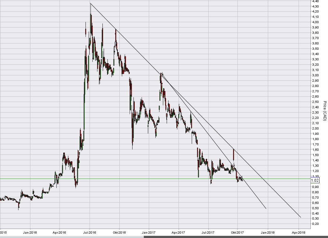 Electrovaya. Lithium-Ionen-SuperPolymer-Batterie 1018555