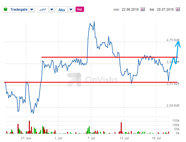Electrovaya. Lithium-Ionen-SuperPolymer-Batterie 928261