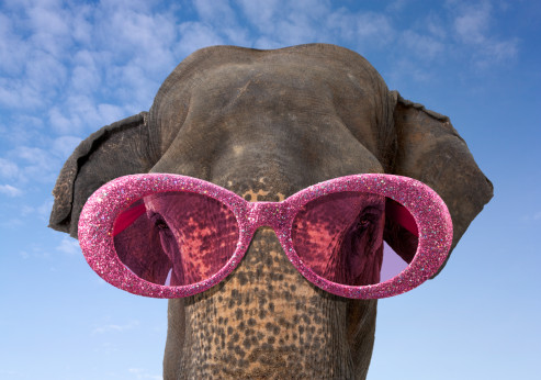 Der USA Bären-Thread 230107