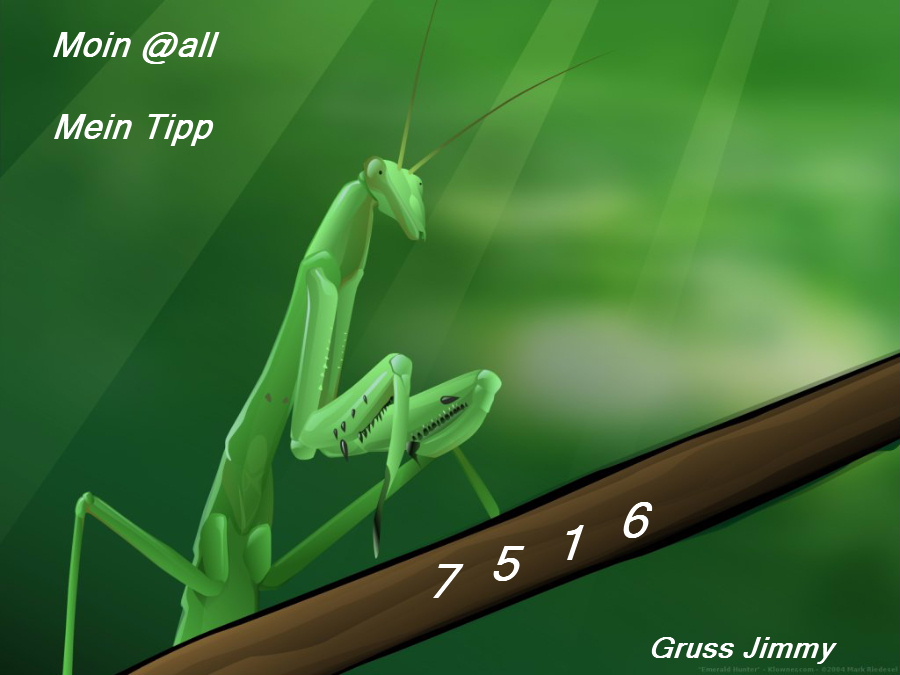 702.DAX Tipp-Spiel, Mittwoch, 16.01.08 142228