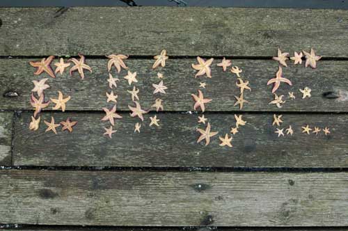 1.467.DAX Tipp-Spiel, Dienstag, 18.01.2011 373745