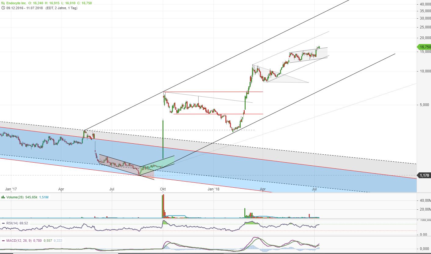 Horrorcrash bei Endocyte 1064281