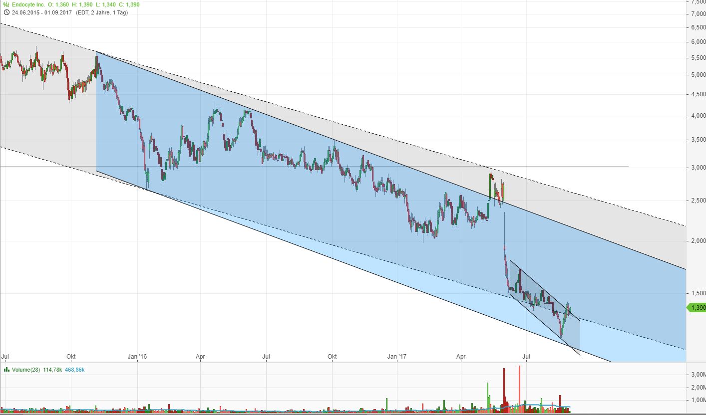 Horrorcrash bei Endocyte 1010201