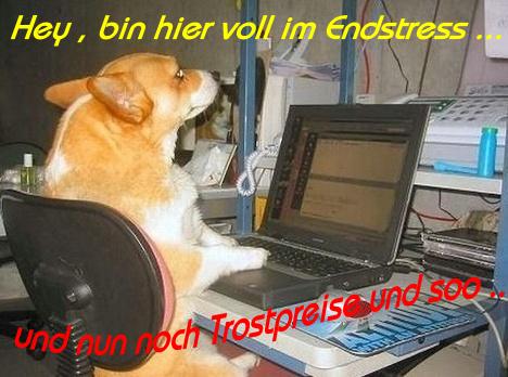 1.300.DAX Tipp-Spiel, Mittwoch, 26.05.10 322386