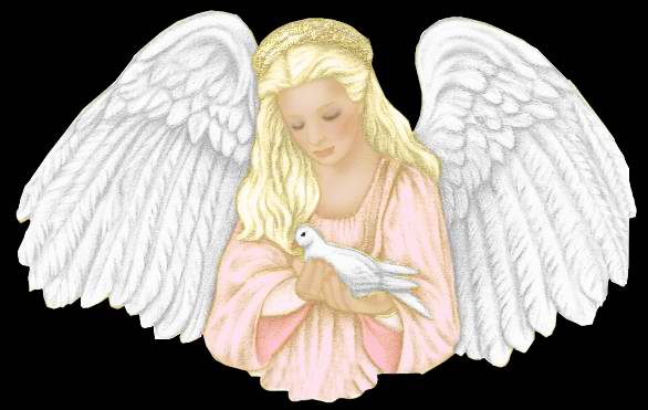 ARISE die canadische Solarperle ! 175941