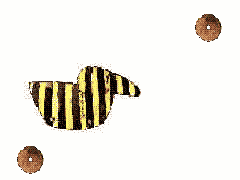 Delticom ohne Ertrags- aber mit Kursdelle.Chance 302956