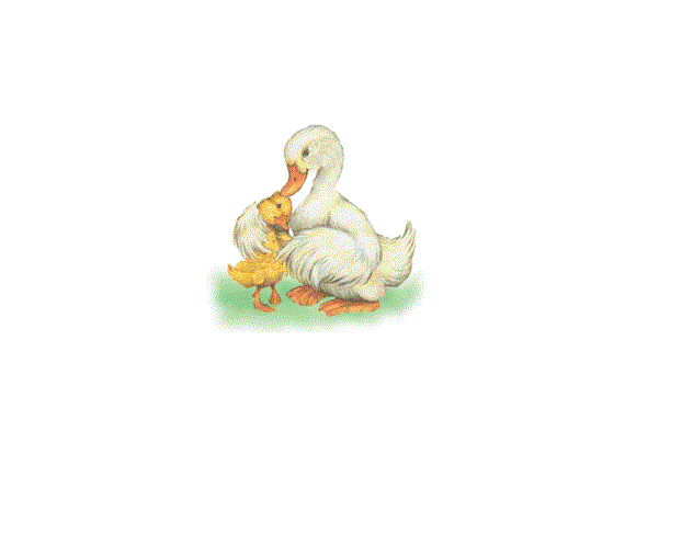 realist11 Thread zur Börse und allerei 483604