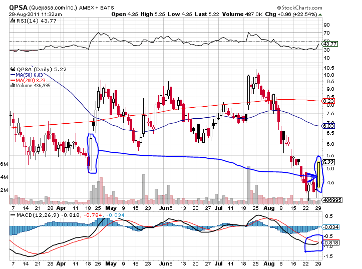 Quepasa's Zukunft 434287