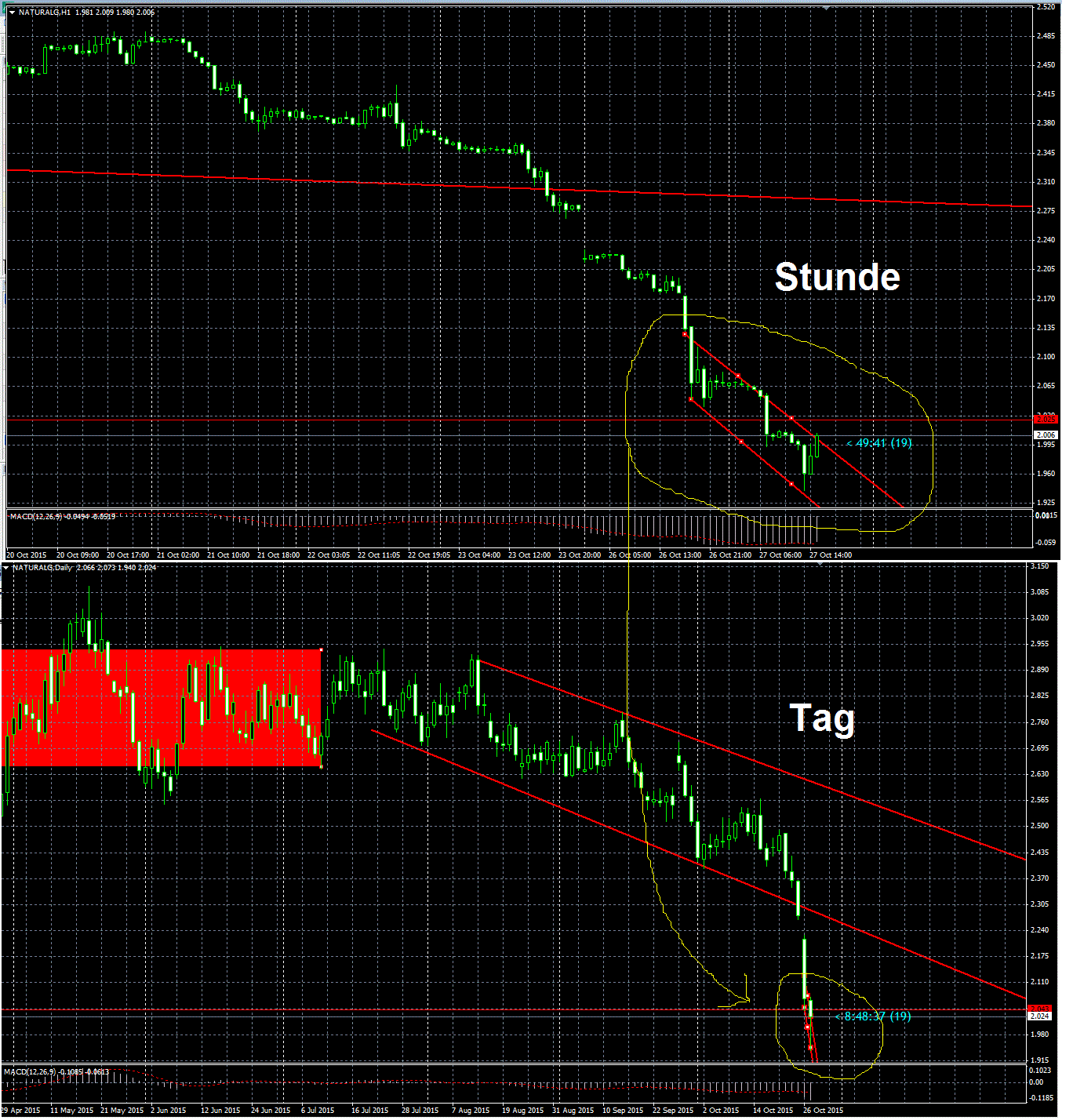 Warum fällt ERDGAS so EXTREM ? 867517