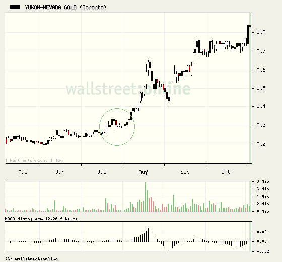 Yukon Nevada Goldmines: bald positive News? 355895