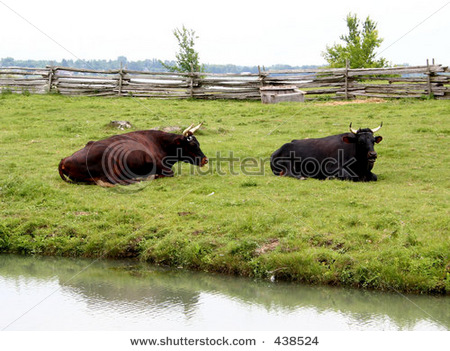 Dax Schlussstand Ende nächster 197965