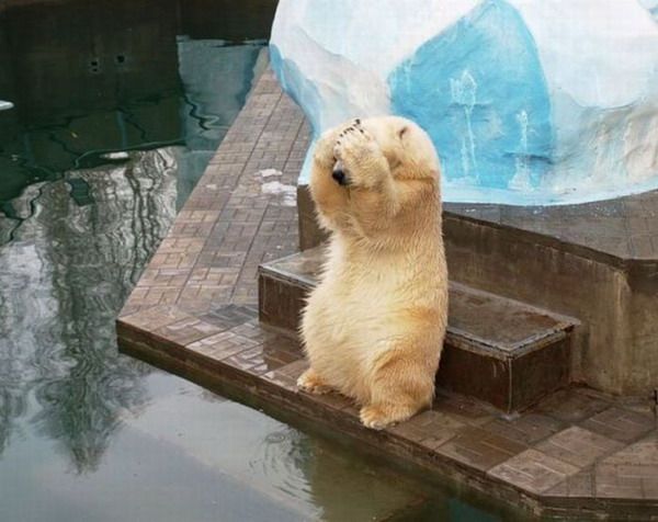 2015 QV DAX-DJ-GOLD-EURUSD-JPY 867875