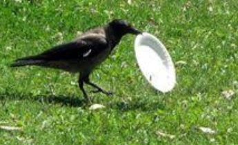 █ Der ESCROW - Thread █ 1148396