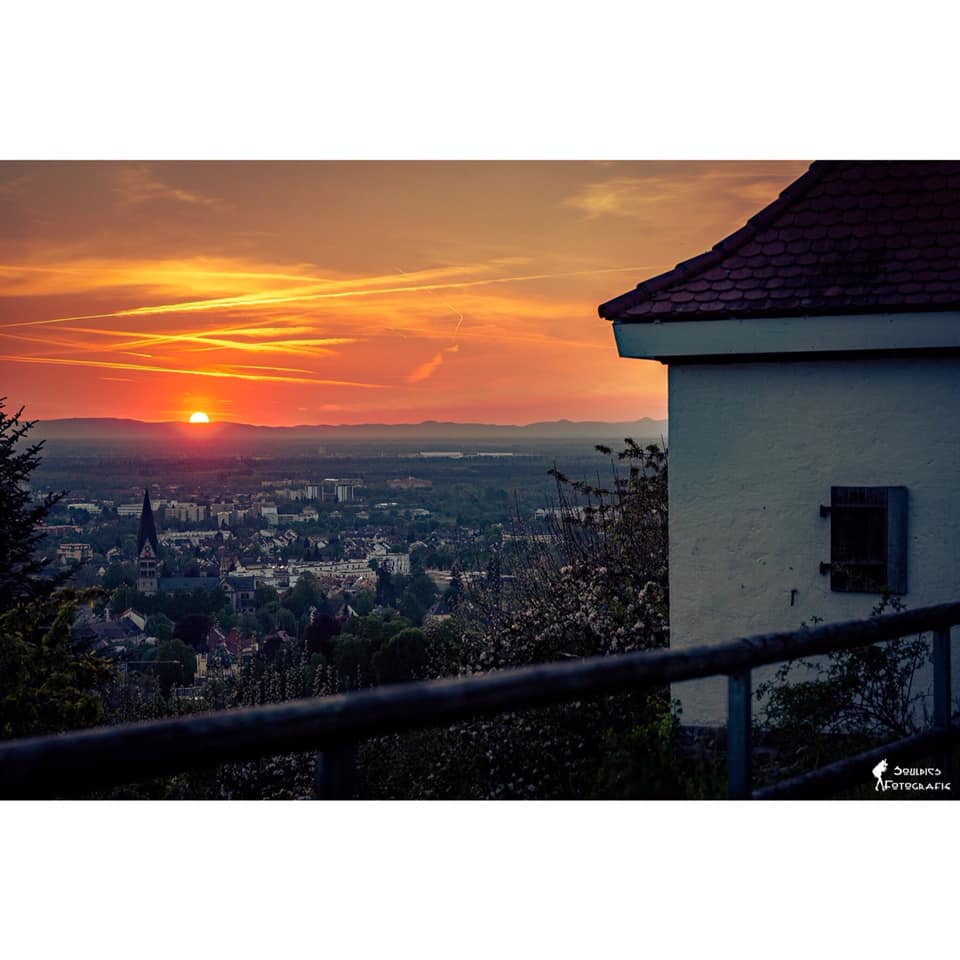 Daimler und andere Aktien und Finanz-Produkte 1349178