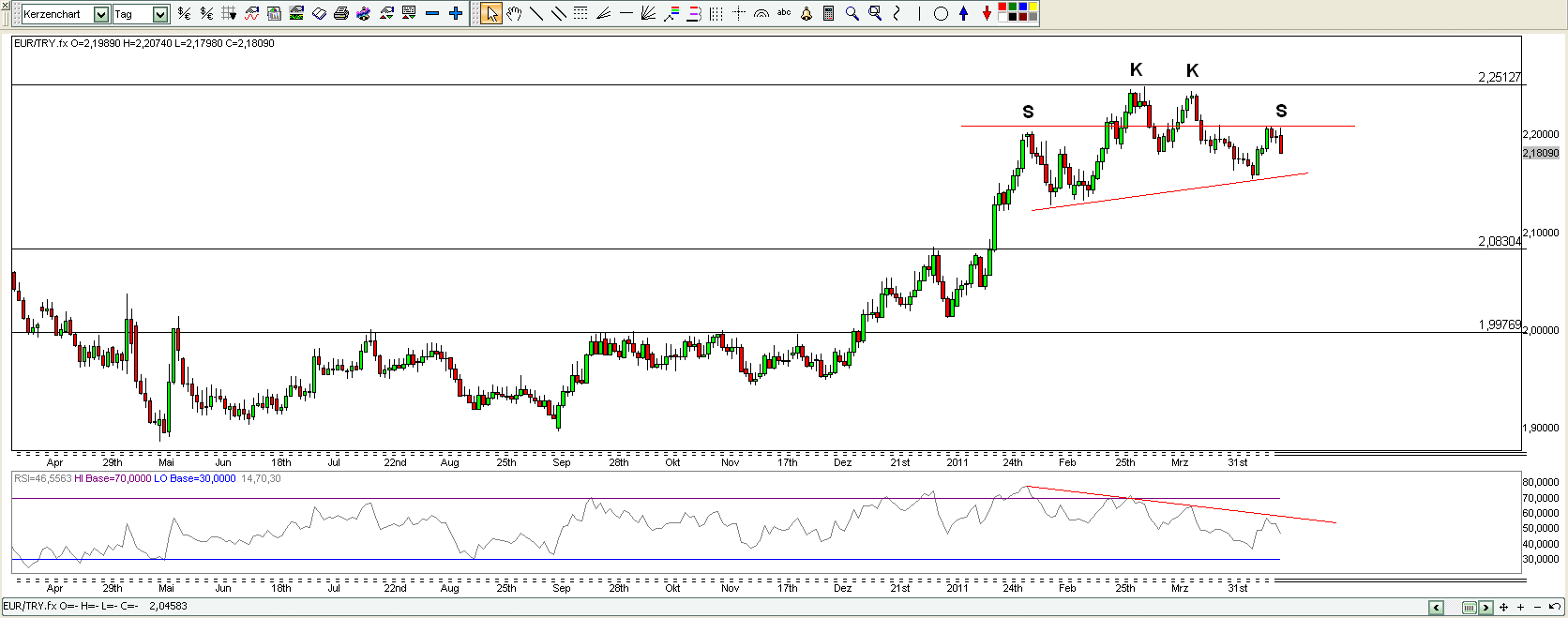 Bear Zocks - daily 396324