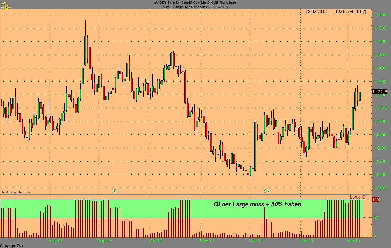 Endlich erfolgreiches Trading mit Rohstoffen 892592