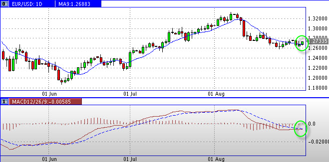 Quo Vadis Dax 2010 - Das Original 341992