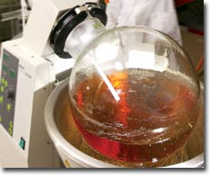 Die 1000% Chance noch dieses Jahr.... 552025