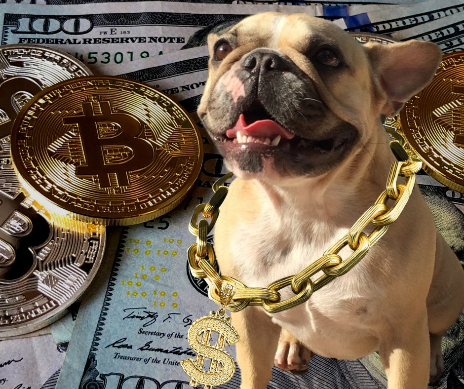 Netcents Technology Thread moderiert A2AFTK 1174544