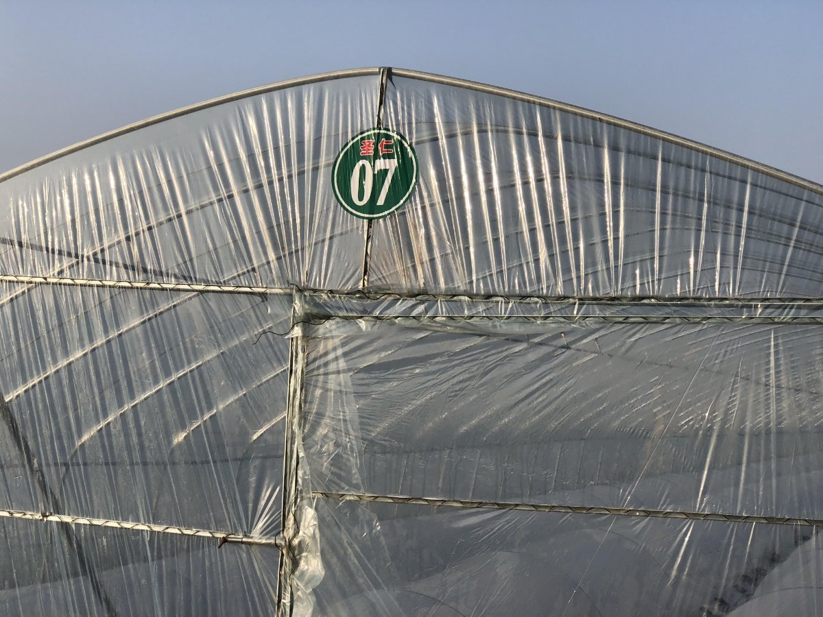 sunwin wird laufen 1088018