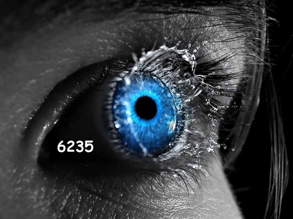 Die Links zu den Sternenkinder (DAX Spiel) 335604