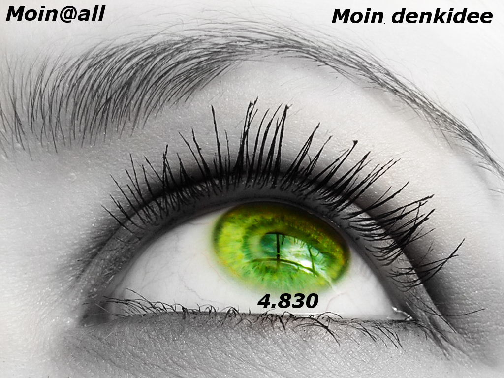 1038.DAX-Tipp-Spiel, Freitag 15.05.09 233198