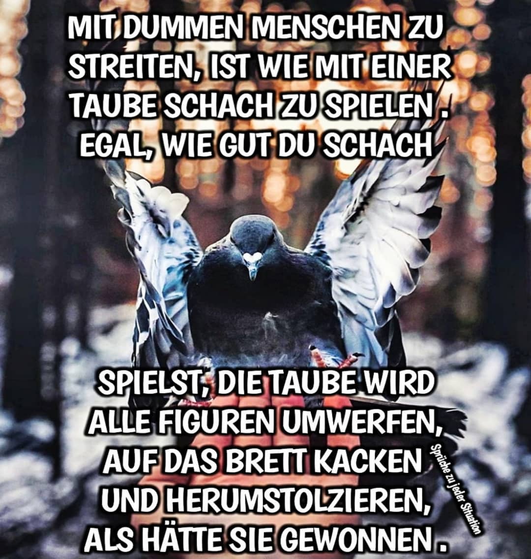 Netcents Technology Thread moderiert A2AFTK 1099359