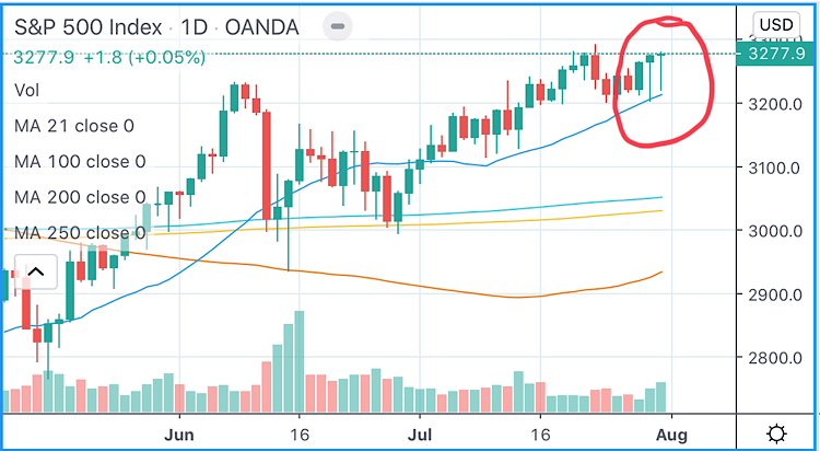 Der USA Bären-Thread 1193571