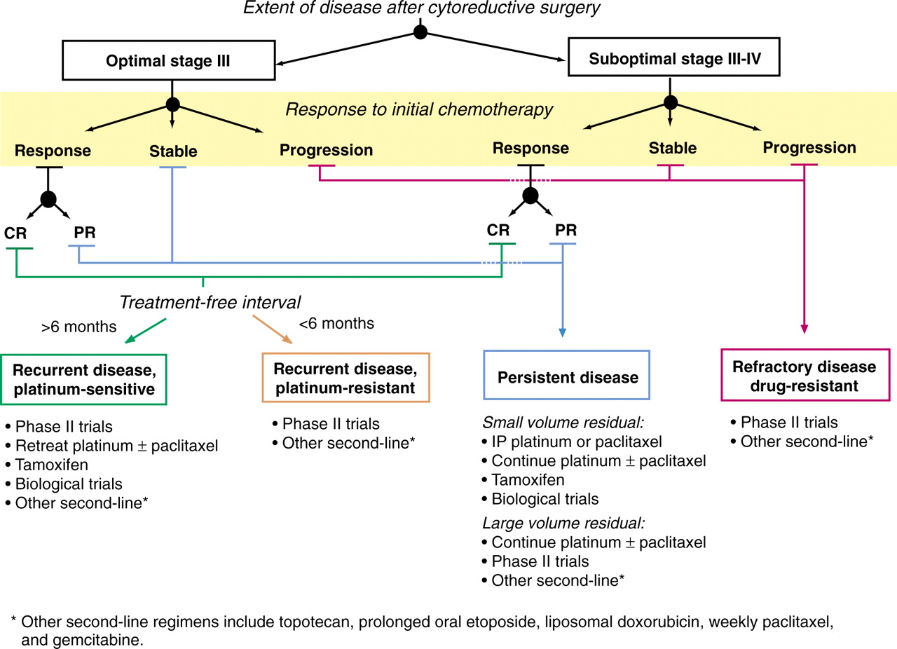 AEZS Transformation zum Big Player 978557
