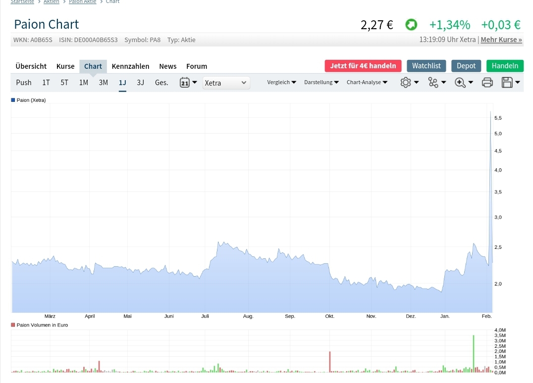 PAION Eine Fledermaus lernt wieder fliegen 1158249