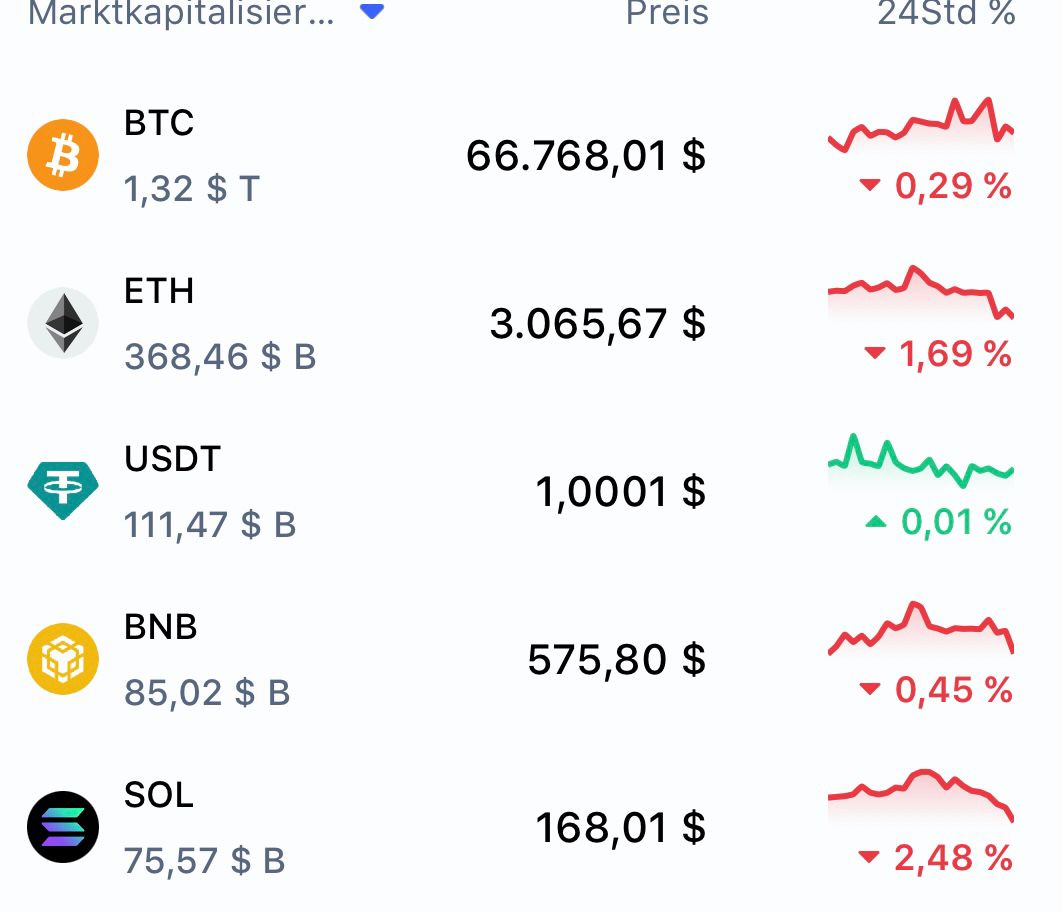 Bitcoin - mehr als eine Spekulationsblase? 1430458