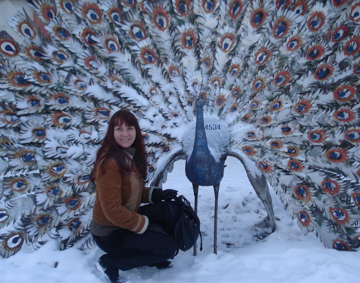 971.DAX Tipp-Spiel Freitag,06.02.09, 17.45 Uhr 214721