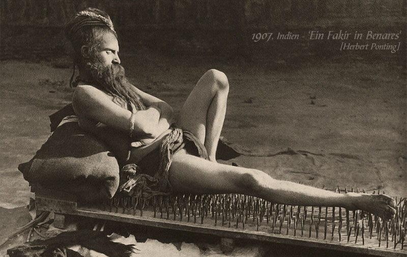 Westwing -- Neuer Thread 1296321