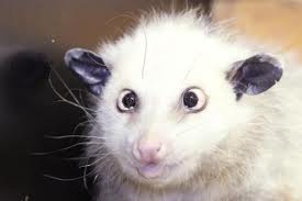 Neuer Thread mit rein sachlichen Beiträgen 447920