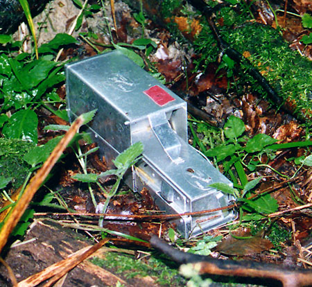 909.DAX Tipp-Spiel *Mittwoch* 05.11.08, 17.45 Uhr 197054