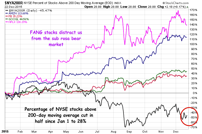 Der USA Bären-Thread 880721