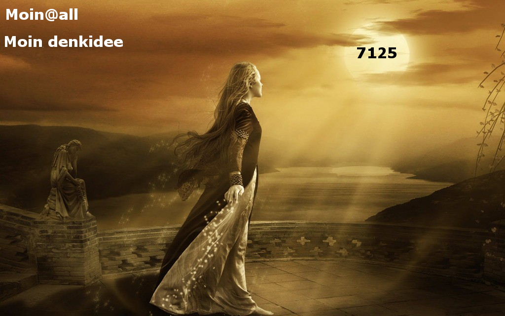 1.591.DAX Tipp-Spiel, Mittwoch, 13.07.2011 420061