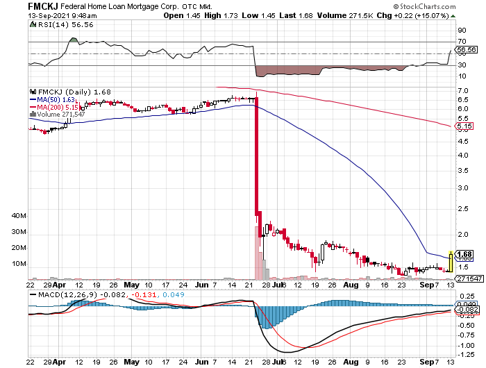 Fannie Mae - Chance auf Verdreifachung bis Juli 1273825